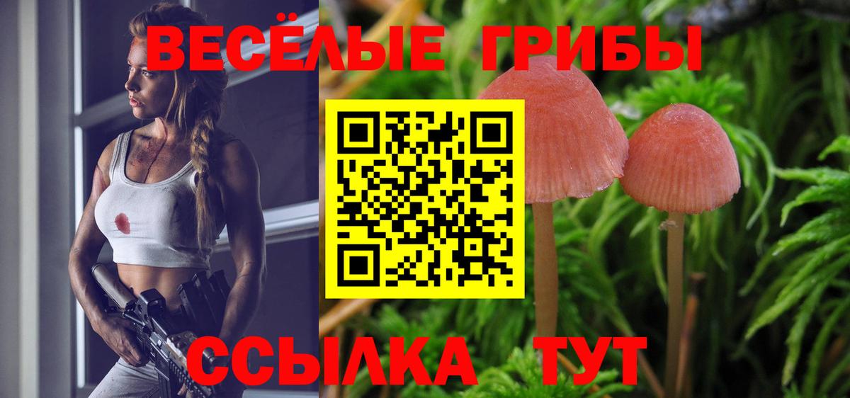 Снежинск  Галлюциногенные грибы мицелий  Галлюциногенные грибы Psilocybe  Вход с VPN 